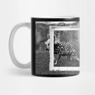 Chinese Crested dog camera shy Mug